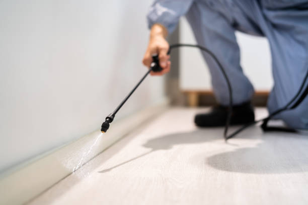 Professional exterminator conducting IPM assessment in Darrington