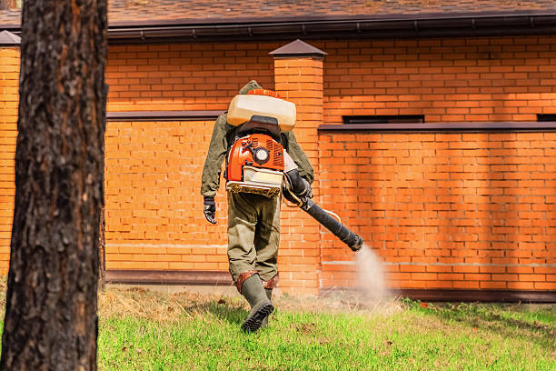 Top rated local Mosquito Control specialists in Darrington, WA